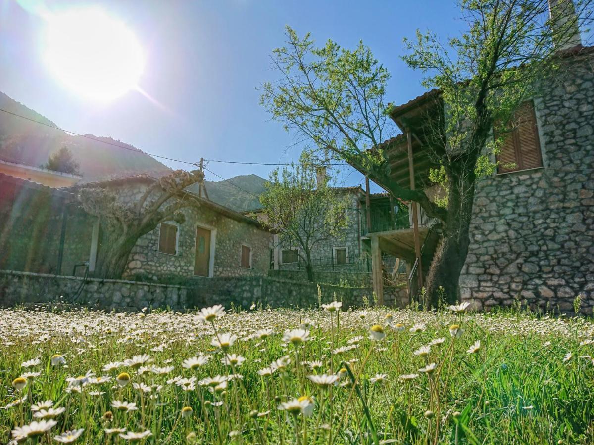1935 Home Lilaia Экстерьер фото